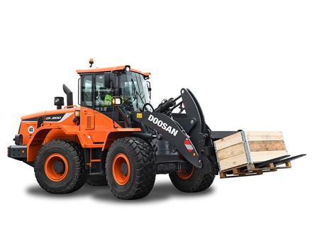 Wheel loaders - DL210 (.. - ..)
